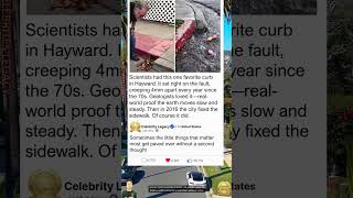 The curb scientists cherished for decades got casually fixed by the city