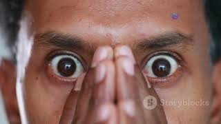 Summary: Spy the Lie – What We Can Learn About Deception Detection