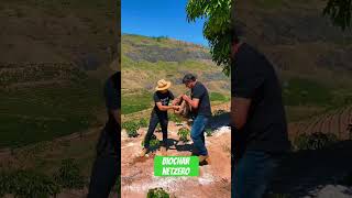 Biochar NetZero #biochar #netzero