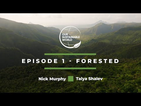 FORESTED - The Business That's Putting The Buzz Back Into Our Forests | Our Sustainable World, EP 1