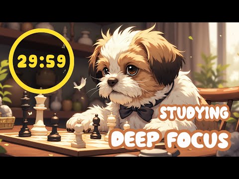 💡 Concentration Mode | Study & Work Like a Pro | Pomodoro 30/5