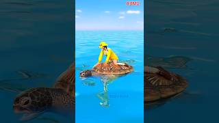 dangerous whale fish #sorts #yt #abm