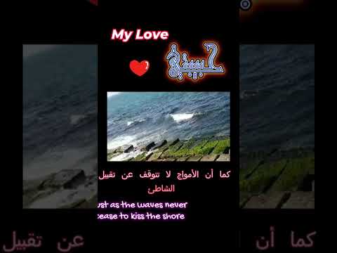 I Hired An Artist To Paint A ROMANTIC Message To My Wife! My love الى زوجتي #love #wife #romantic