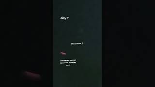 android user