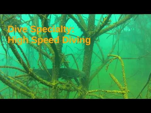 Diving Specialtys im Murner See 2012 ;)
