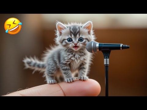 These funny animals will have you laughing uncontrollably! 😆