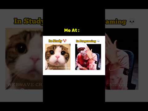 Study vs Coding (feat. My Bro)