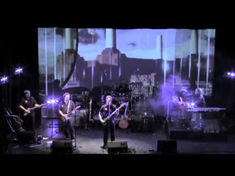PIGS Live at the Tidemark  Dogs  abridged