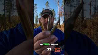 350 Legend vs 30-30 vs .243  Which Packs the Biggest Punch? #shorts #hunting #deerhunting #outdoors