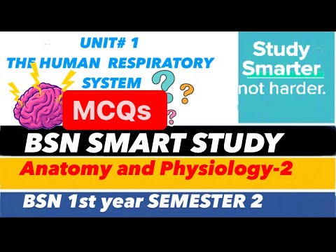 The Respiratory System Mcqs | Anatomy and physiology 2nd Semester year 1st
