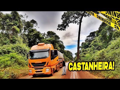 ABOBRÃO NA PRESSÃO NO TAPETE CAIPIRA | DESCARREGAMOS !