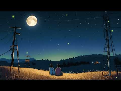 Serene Night🌙:Lofi Chill Music for Relaxation in a Wheat Field🌾Perfect for Studying LateNight Focus🎧