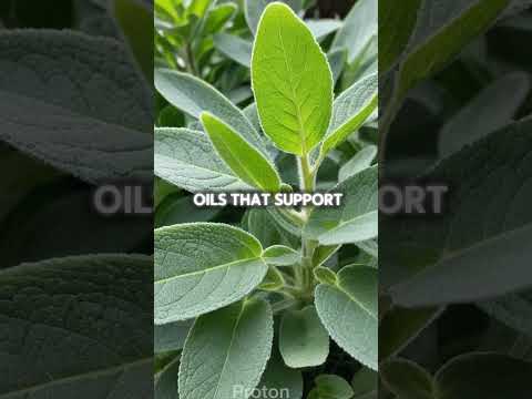 Heals the body, clears the mind, and purifies the soul. #wellnessforlife #holistichealth #herbalife