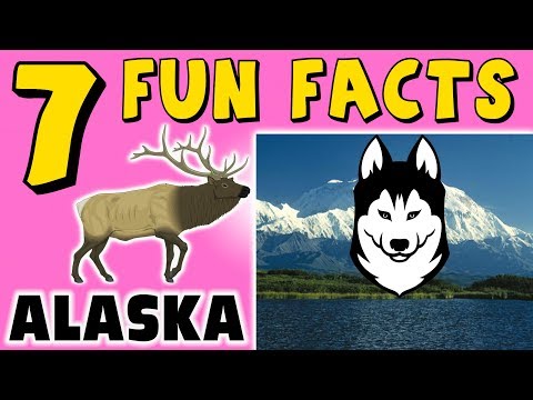 7 FUN FACTS ABOUT ALASKA! FACTS FOR KIDS! Dog Sled! Moose! Denali! Learning Colors! Funny! Puppet!