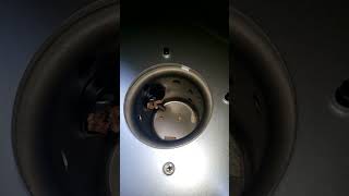 PitBoss Austin XL Seasoning And Burn In