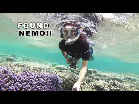 I Found NEMO!!