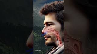 #viralvideo #motivation #studysmart #studysmartnothard #facts #history #smartstudyhacks #geography