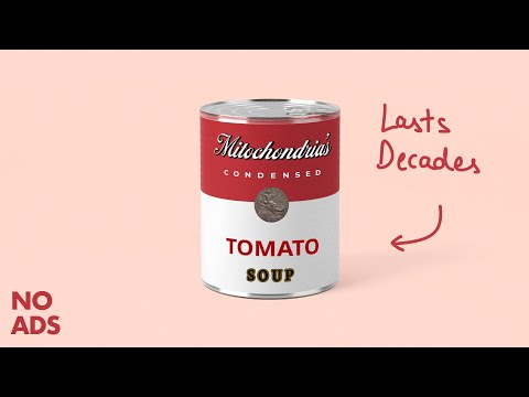 How Does Canned Food Last So Long? [No Ads]