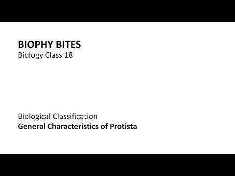 Biology Class 18 - General Characteristics of Protista