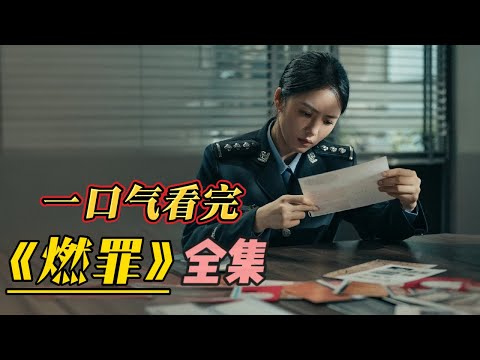 一口氣看完《燃罪》刑偵x火調，雙男主懸疑破案，期待值拉滿