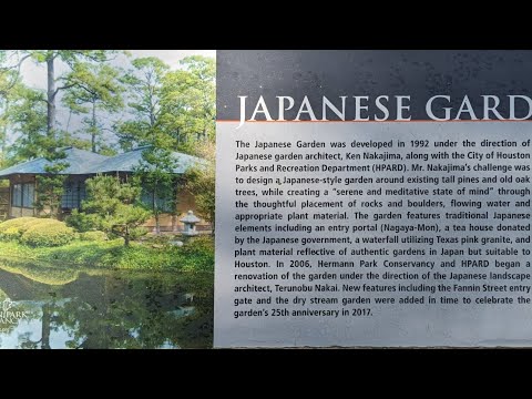 check out the Japanese garden with me.