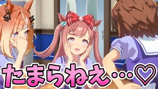 【ウマ娘】これで興奮するのは変態すぎるｗｗｗ【アグネスデジタル】