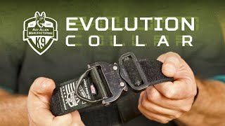 Evolution Collar - Nylon Cobra Buckle Dog Collar