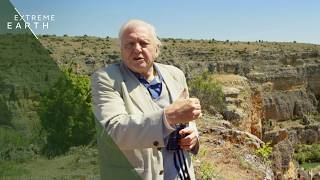 The Secrets of Evolution Revealed with David Attenborough (4K Documentary)