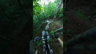🚴‍♂️🌟 Wild Cycling Adventure: Epic Rides! 🌄 #shorts #cycling #adventure #offroad #nature #thrills