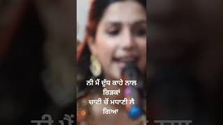 Muskan Chopra#song #bestsufisong #punjabisong #punjabimusic#love #live #sufilovesong#trendingshorts