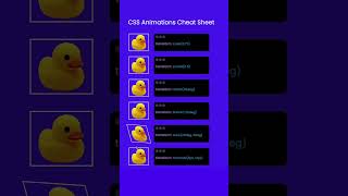 Level up your web design skills with CSS animations! #teachmecode  #cssanimations  #learntocode2024