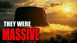 The Trees Angels Destroyed