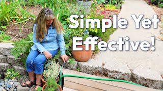 DIY Drip Irrigation Watering System for Perennials and Plants