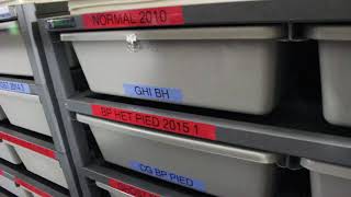 Ball python breeding season update!