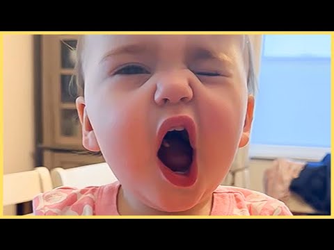Funny Baby Video You Can't Miss! 🤣  5 Minute Fails