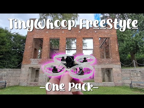 Murder In My Mind - TinyWhoop Freestyle