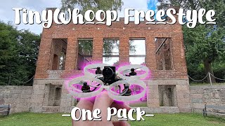 Murder In My Mind - TinyWhoop Freestyle