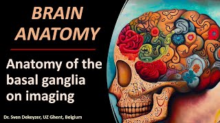 Imaging Anatomy of the Basal Ganglia