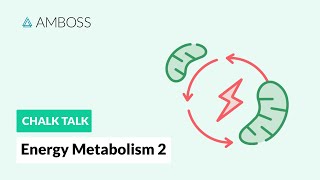 Energy Metabolism - Part 2: Glycolysis Reactions with molecular structures