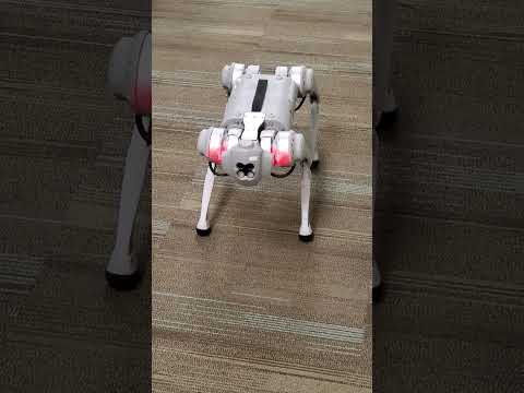 Intro to Robotics Lab 7: LED controls on Unitree Go1