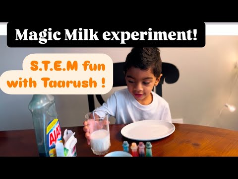 Magic Milk Experiment! STEM fun with Taarush!