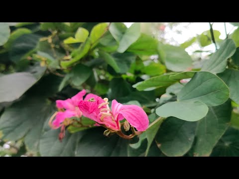 Today, nature is beautiful 😍😍
