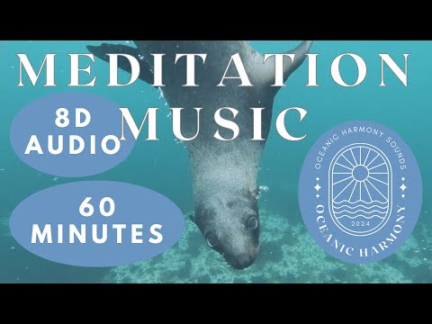 Relax with 60-Minute 8D Ocean Meditation Music 🌊 Featuring a Cute Seal Companion