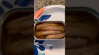 7 Day Sardine Fast, Day 1 #carnivore #keto #lowcarb #loseweight #weightloss #sardines @DoctorBoz