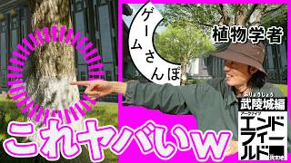 【Endfield】The Surprising Reason Why Street Tree Trunks Are Painted White｜Game Sampo