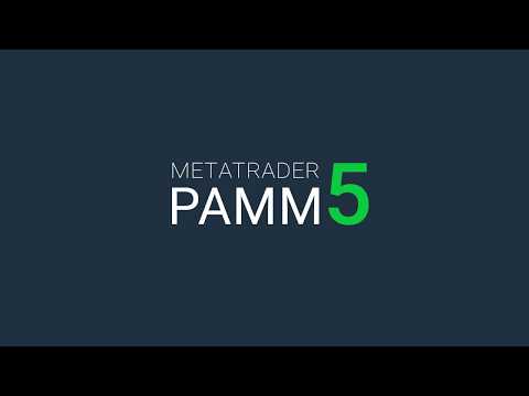 MT5 PAMM