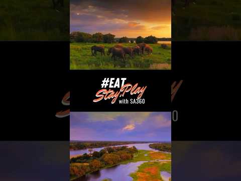 Ultimate African Odyssey: 4 Iconic Destinations, 1 Incredible Journey

#LuxuryHolidays