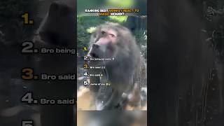Bro said: 🗿 #ranking #bestmoments #monkey #react #magic #magictricksvideos