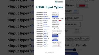 All HTML Input Types Explained🚀 | Web Development Basics