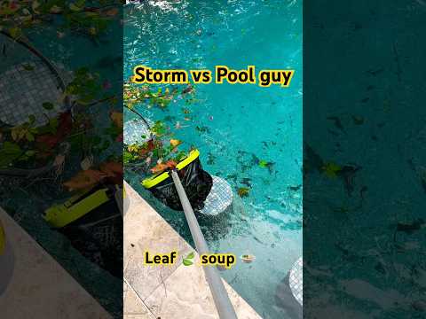 When the storm leaves you… leaves 😅🍂 #poolcleaning #satisfying #beforeandafter #shortvideo